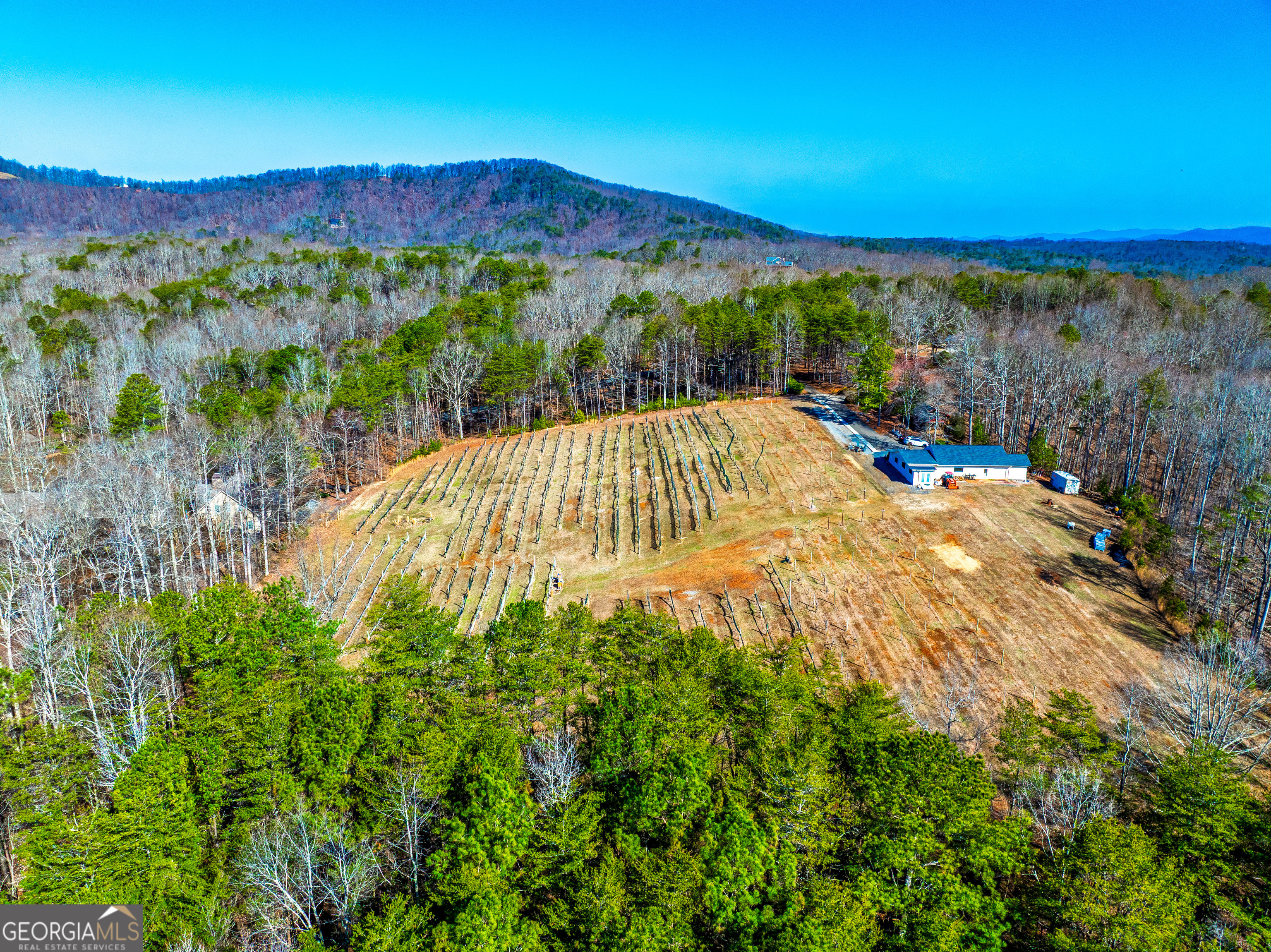 110 Rathgeb Trail Property Photo 49