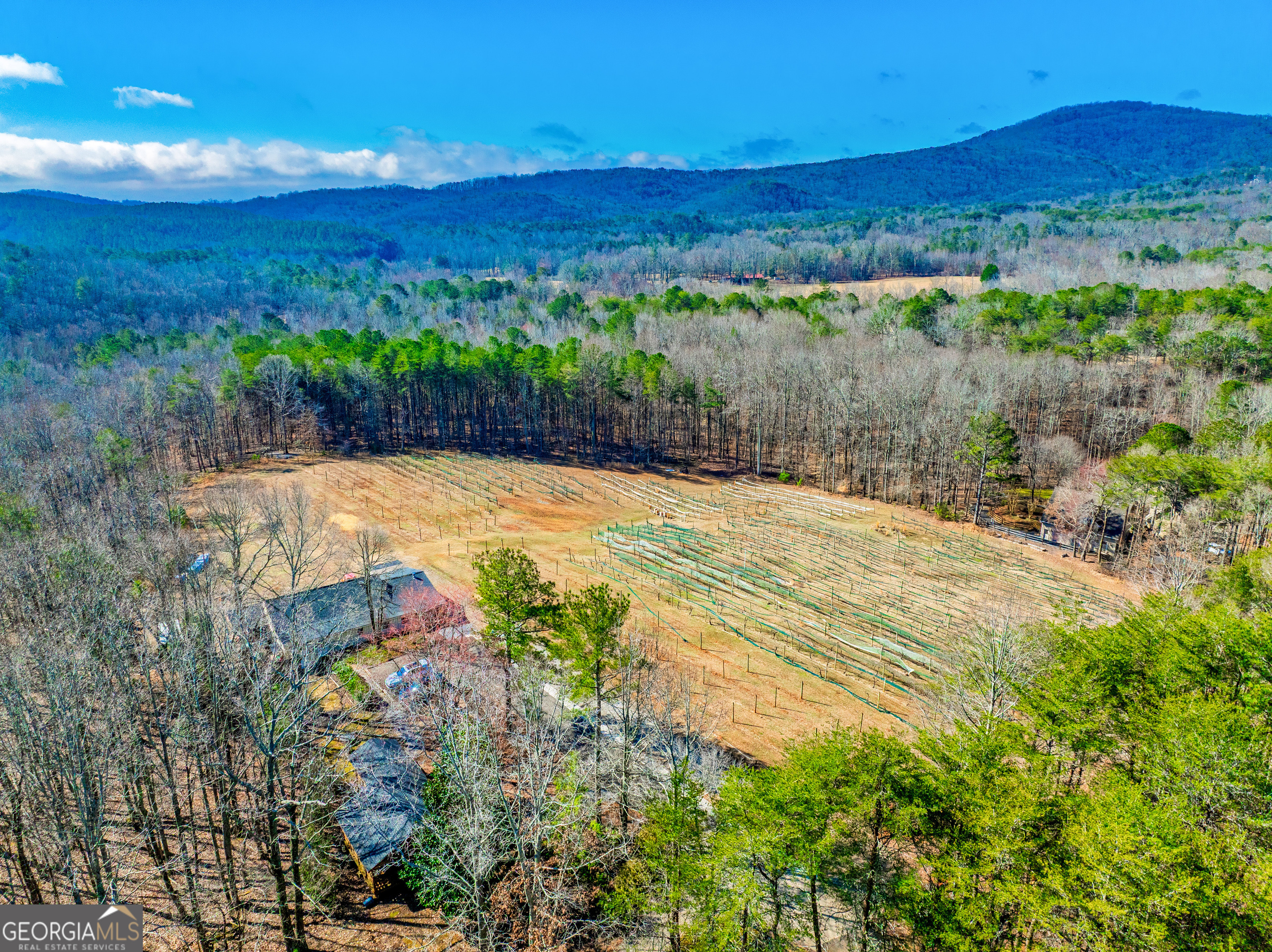 110 Rathgeb Trail Property Photo 52