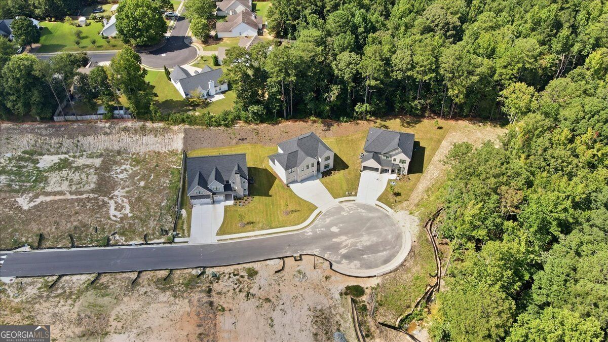 2420 Reserve Manor Court Property Photo 68