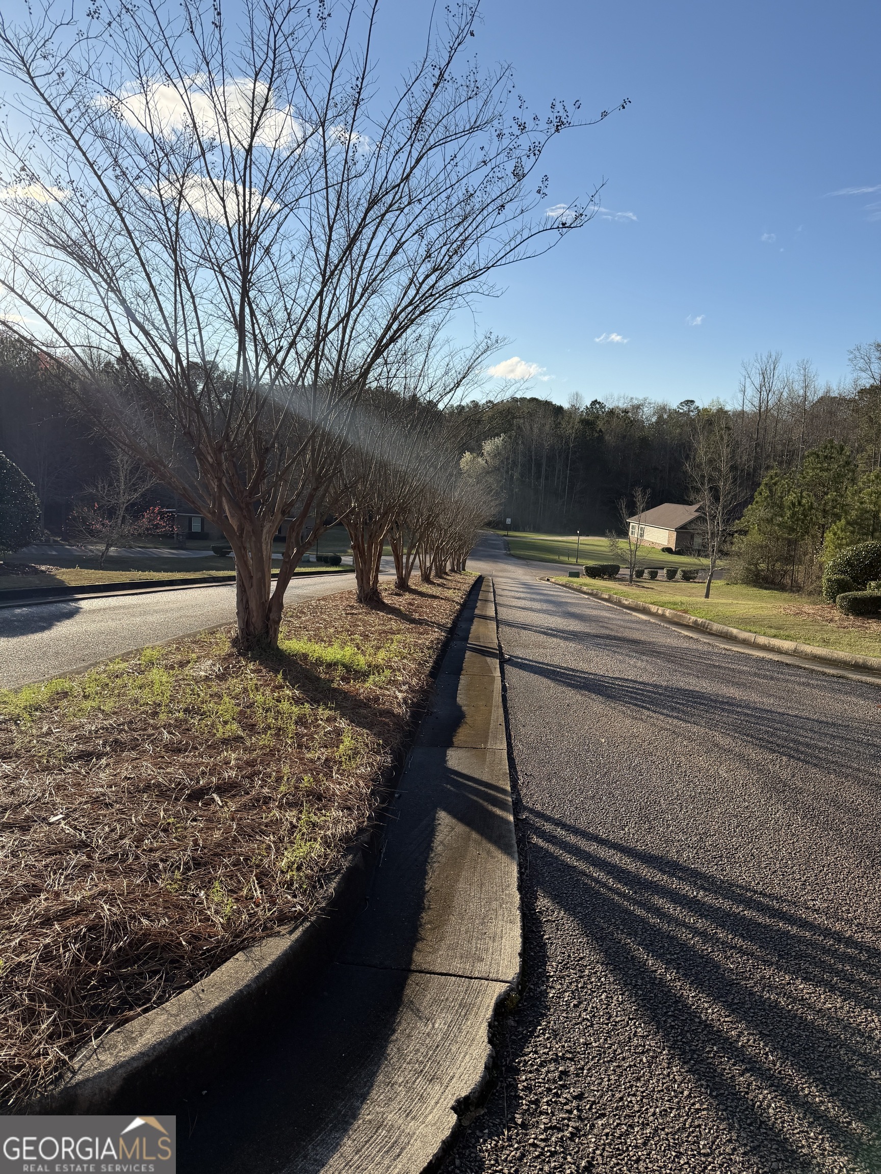 619 & 629 Ivy Court Property Photo 2