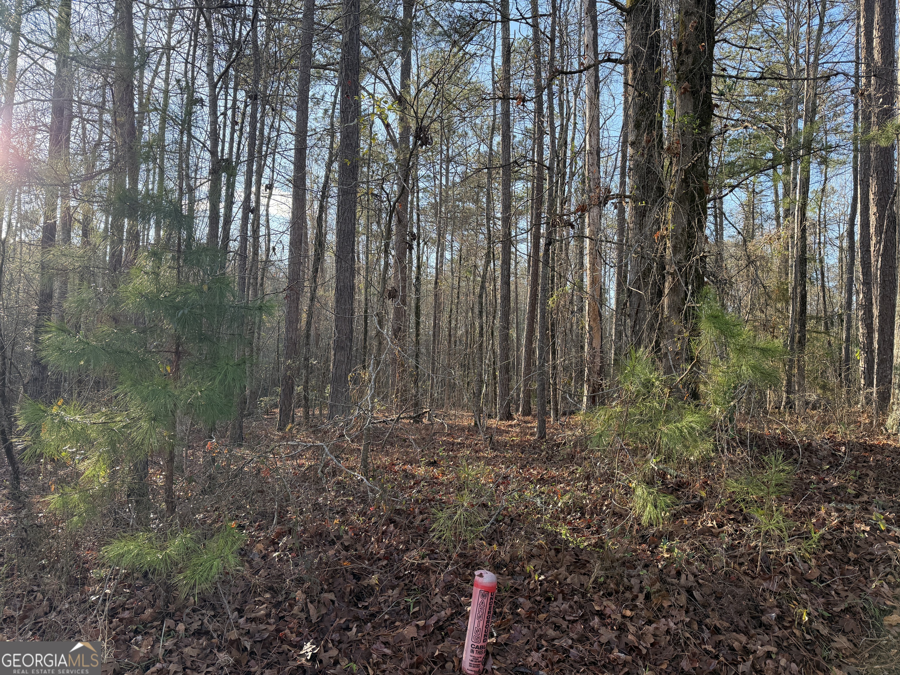 619 & 629 Ivy Court Property Photo 5