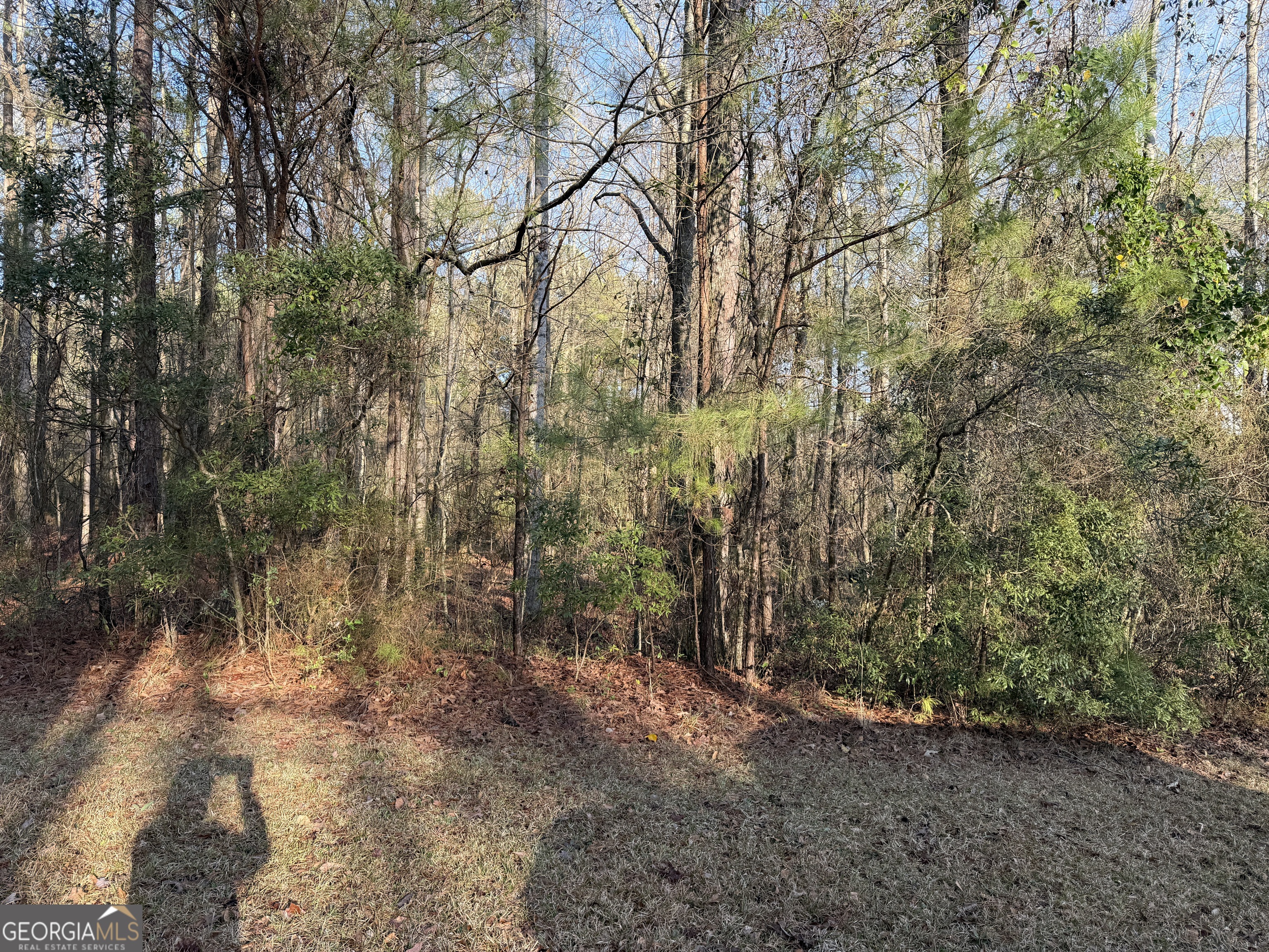 619 & 629 Ivy Court Property Photo 10