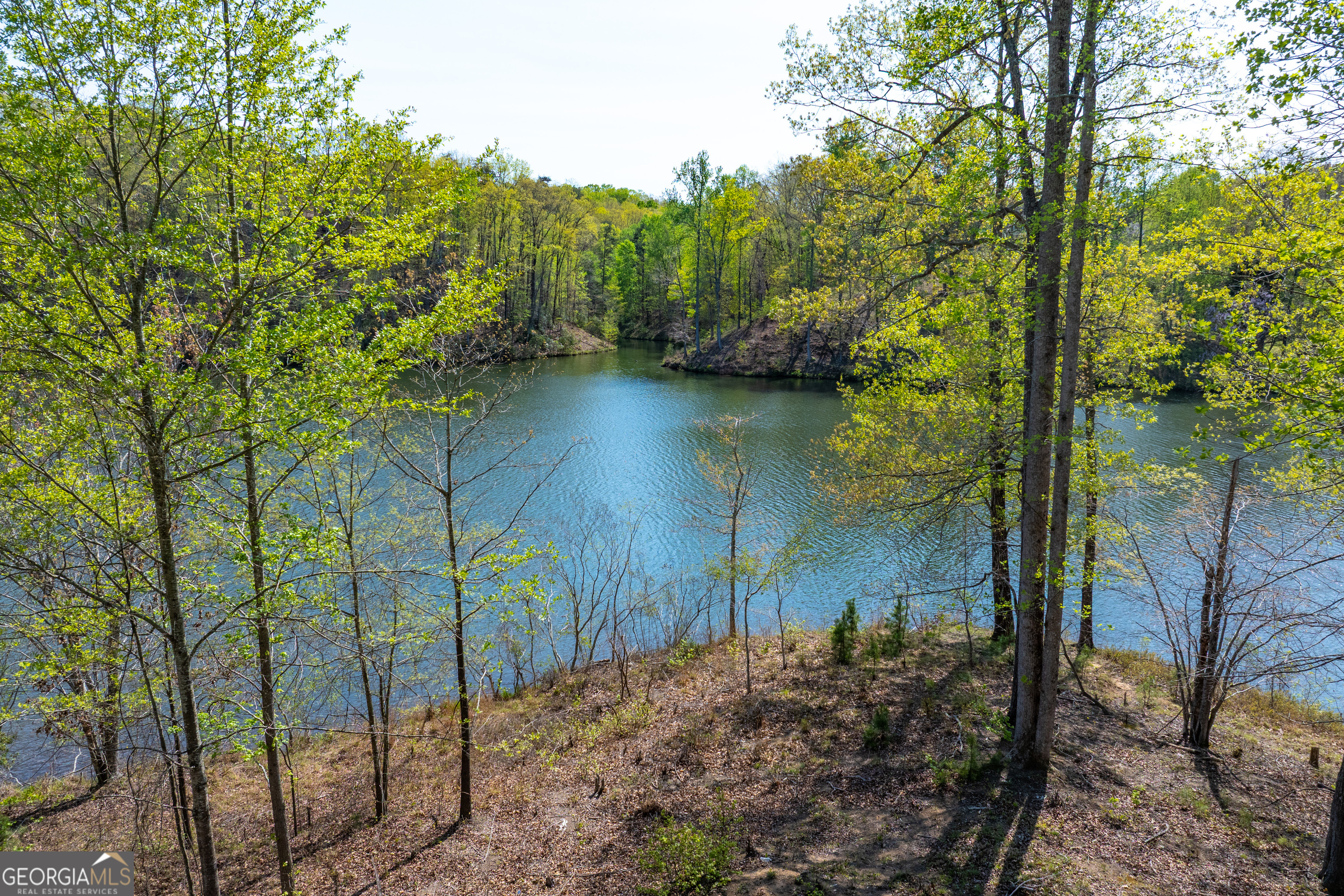 940 Purvis Road Property Photo 2
