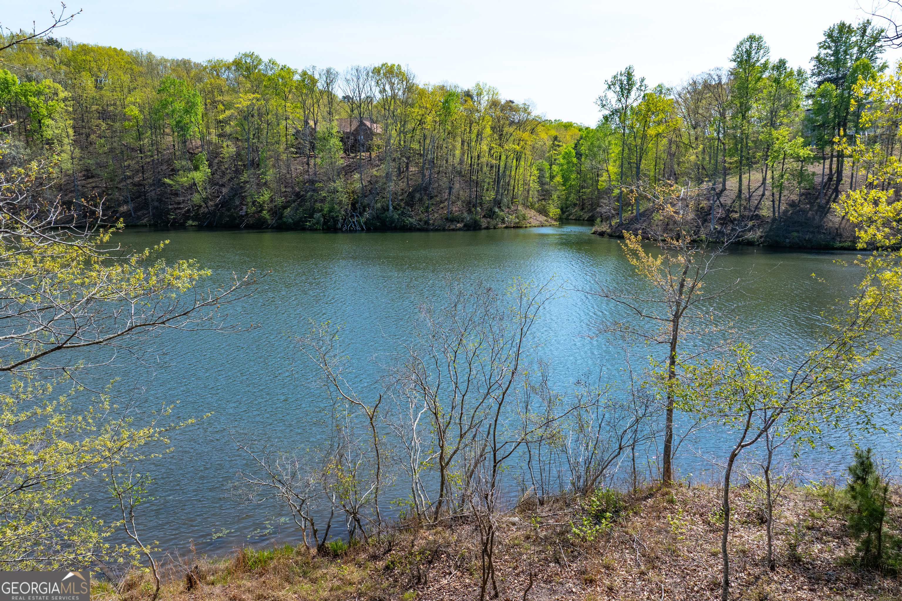 940 Purvis Road Property Photo 3