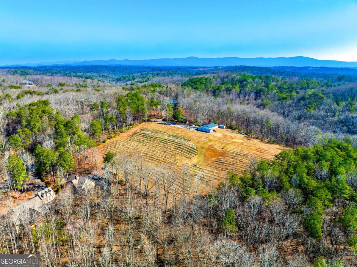 110 Rathgeb Trail Property Photo 9