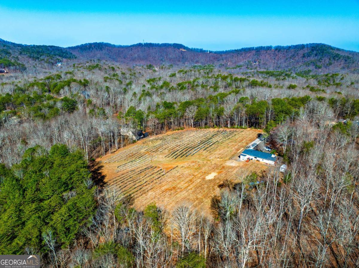 110 Rathgeb Trail Property Photo 11