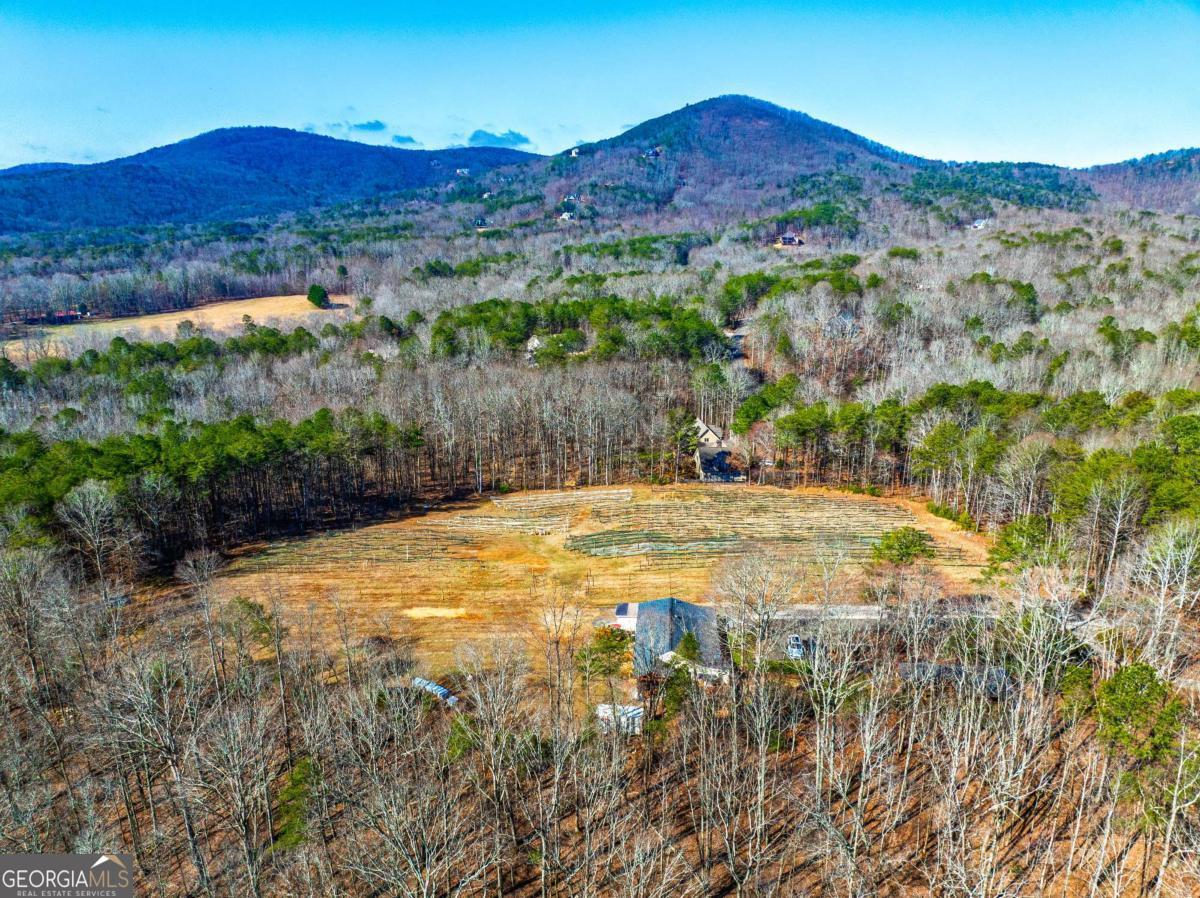 110 Rathgeb Trail Property Photo 12
