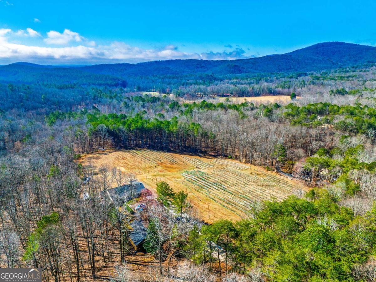 110 Rathgeb Trail Property Photo 13