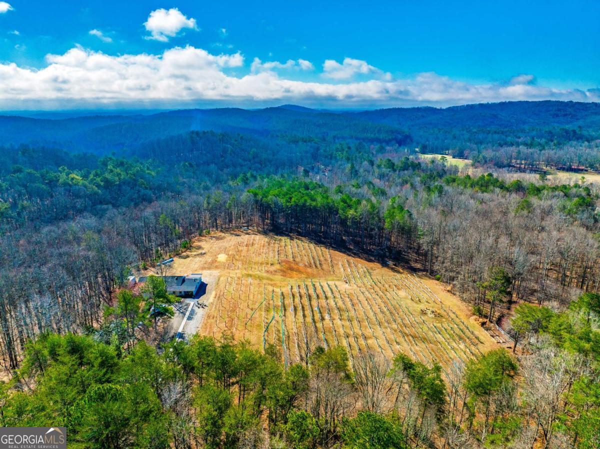 110 Rathgeb Trail Property Photo 14
