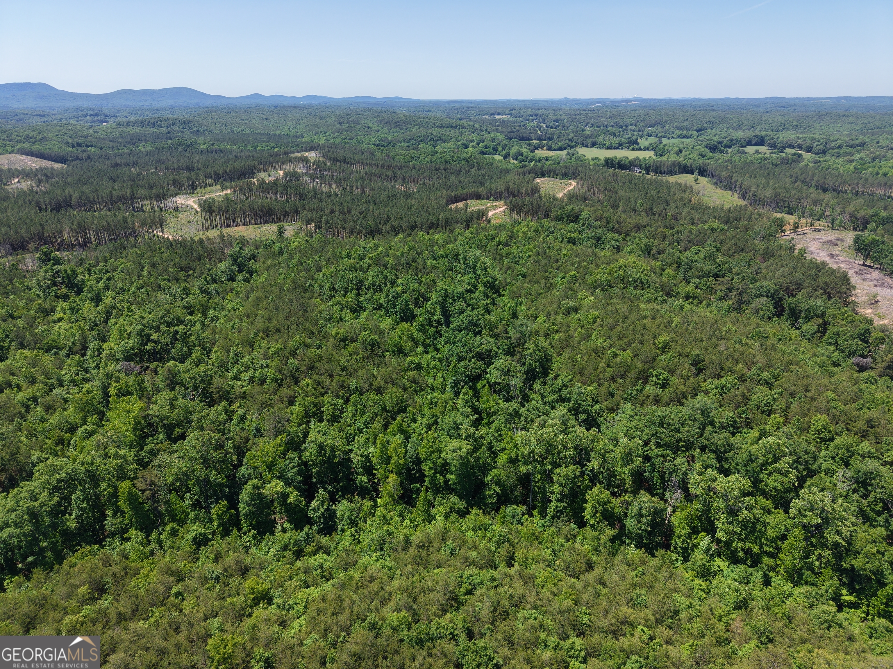 0 Bishop Loop Road Property Photo 37