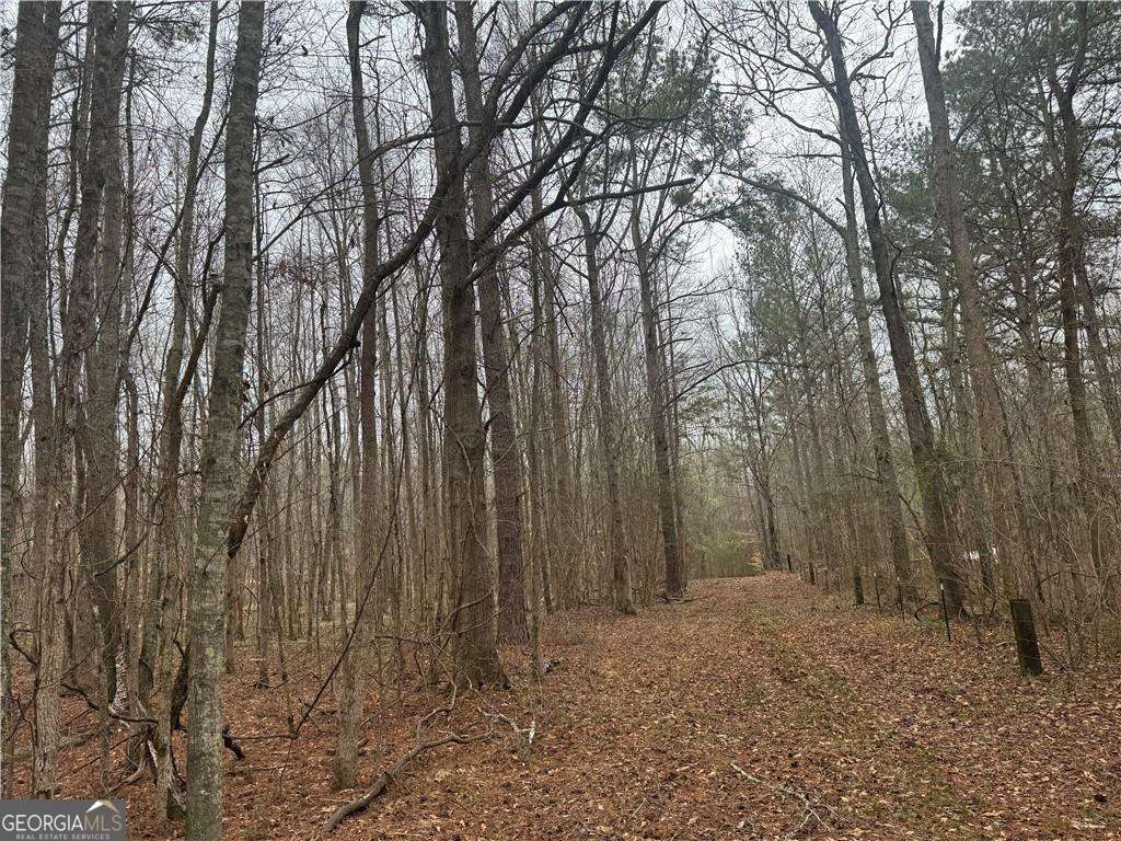 0 Indian Creek Trail Property Photo 1