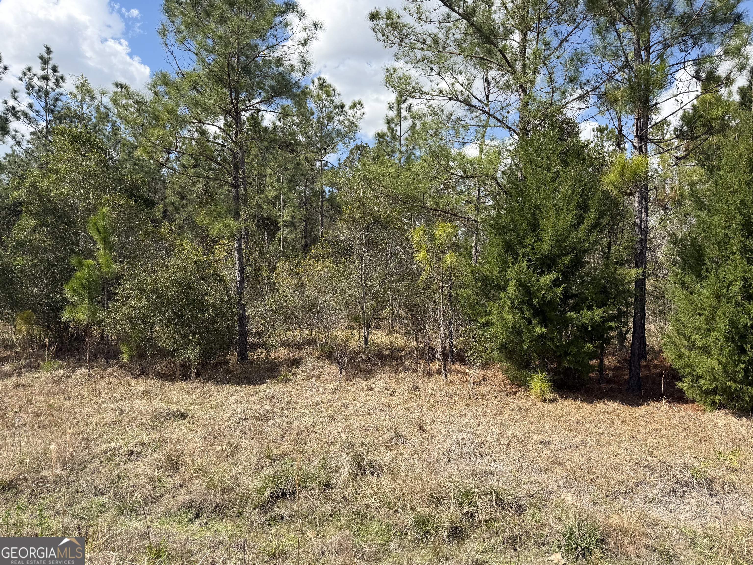 140 Josh And Scott Way Property Photo 3