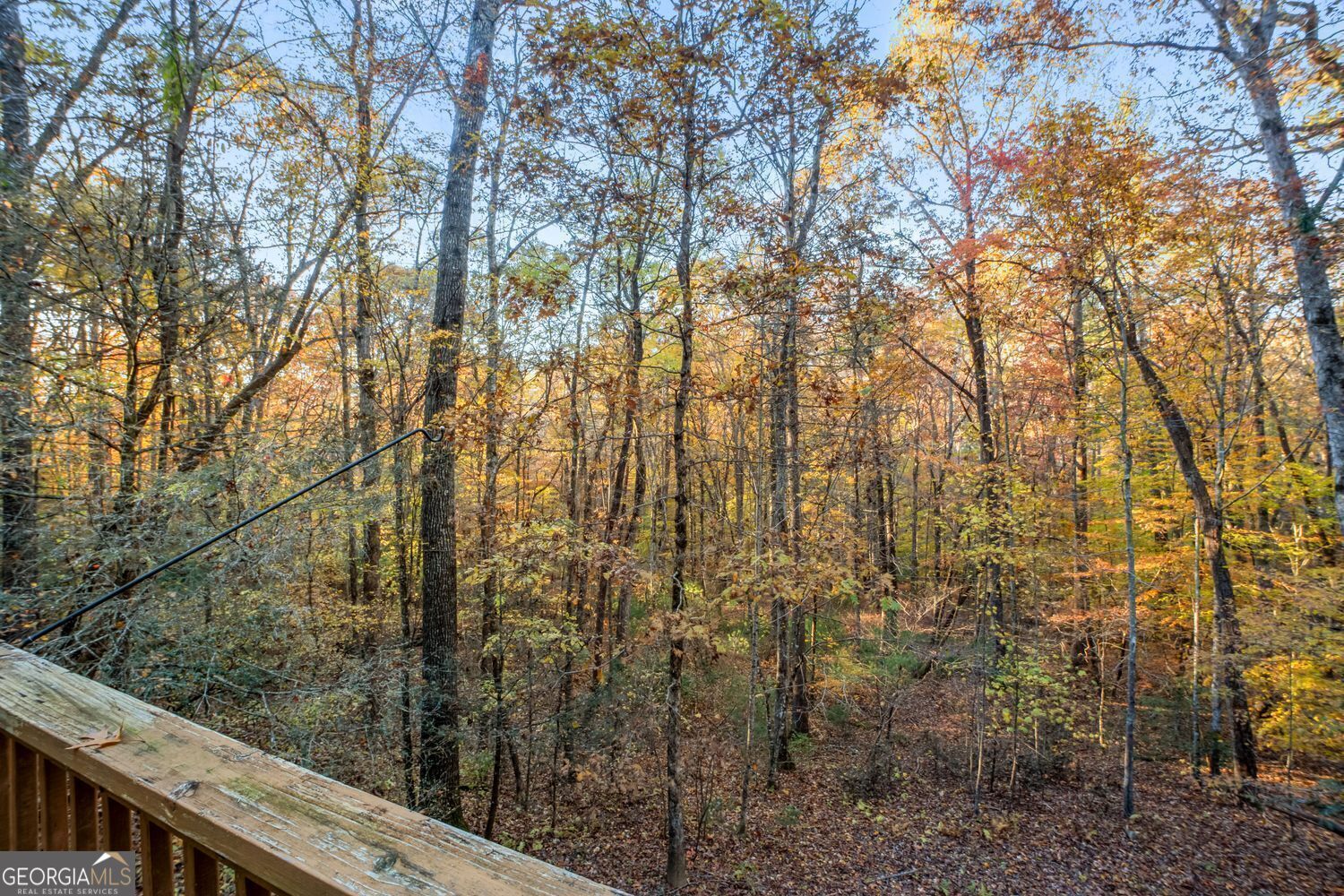 205 Briarwood Lane Property Photo 49