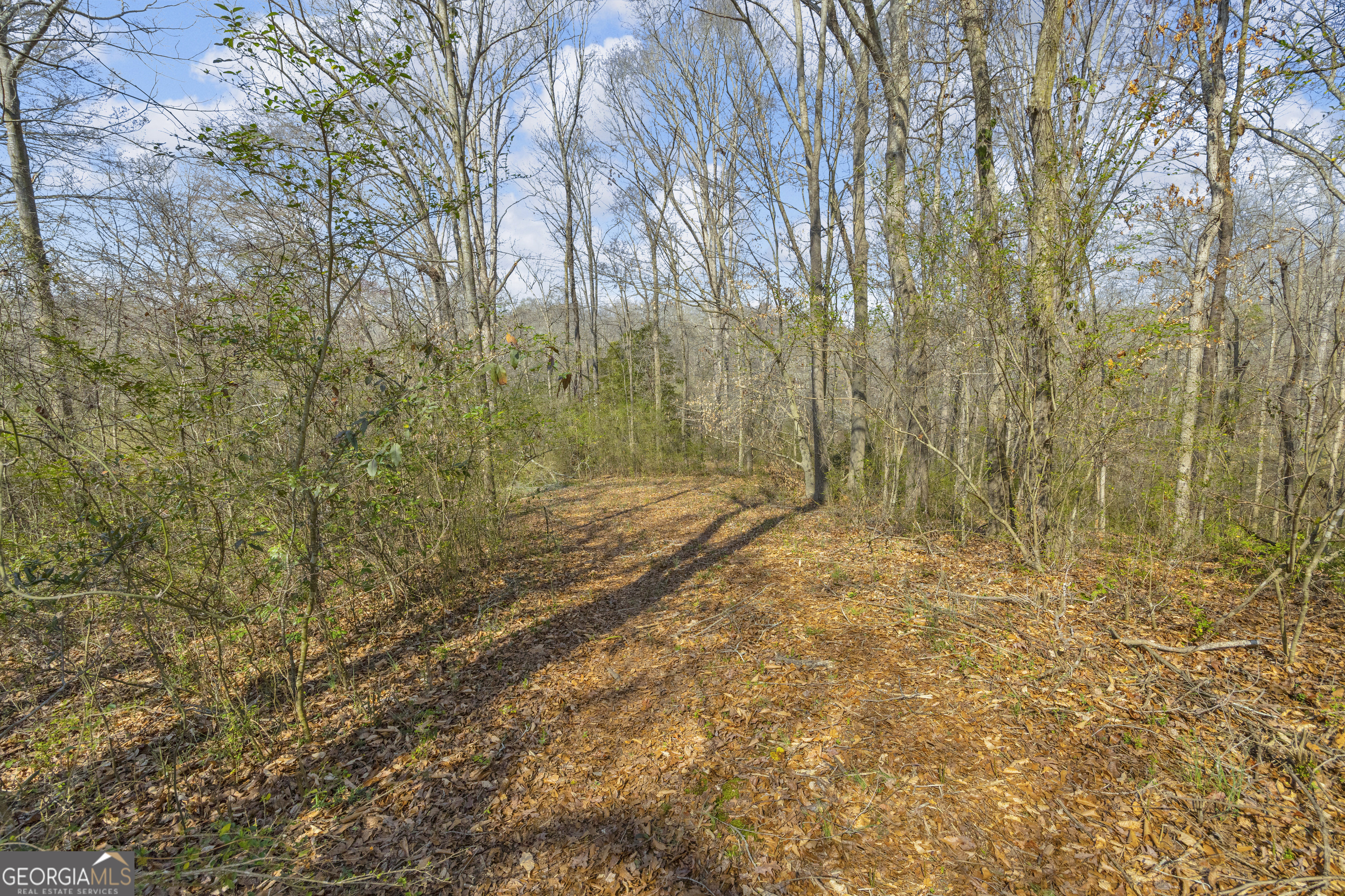 5354 Highway 29 Property Photo 40