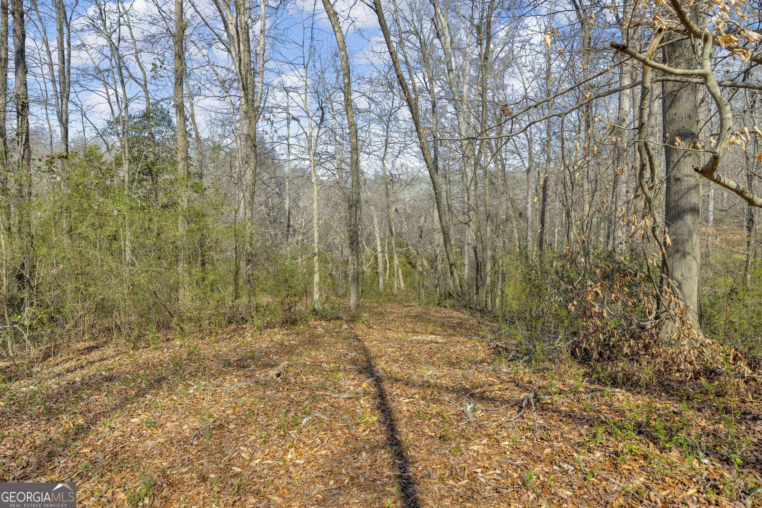 5354 Highway 29 Property Photo 41