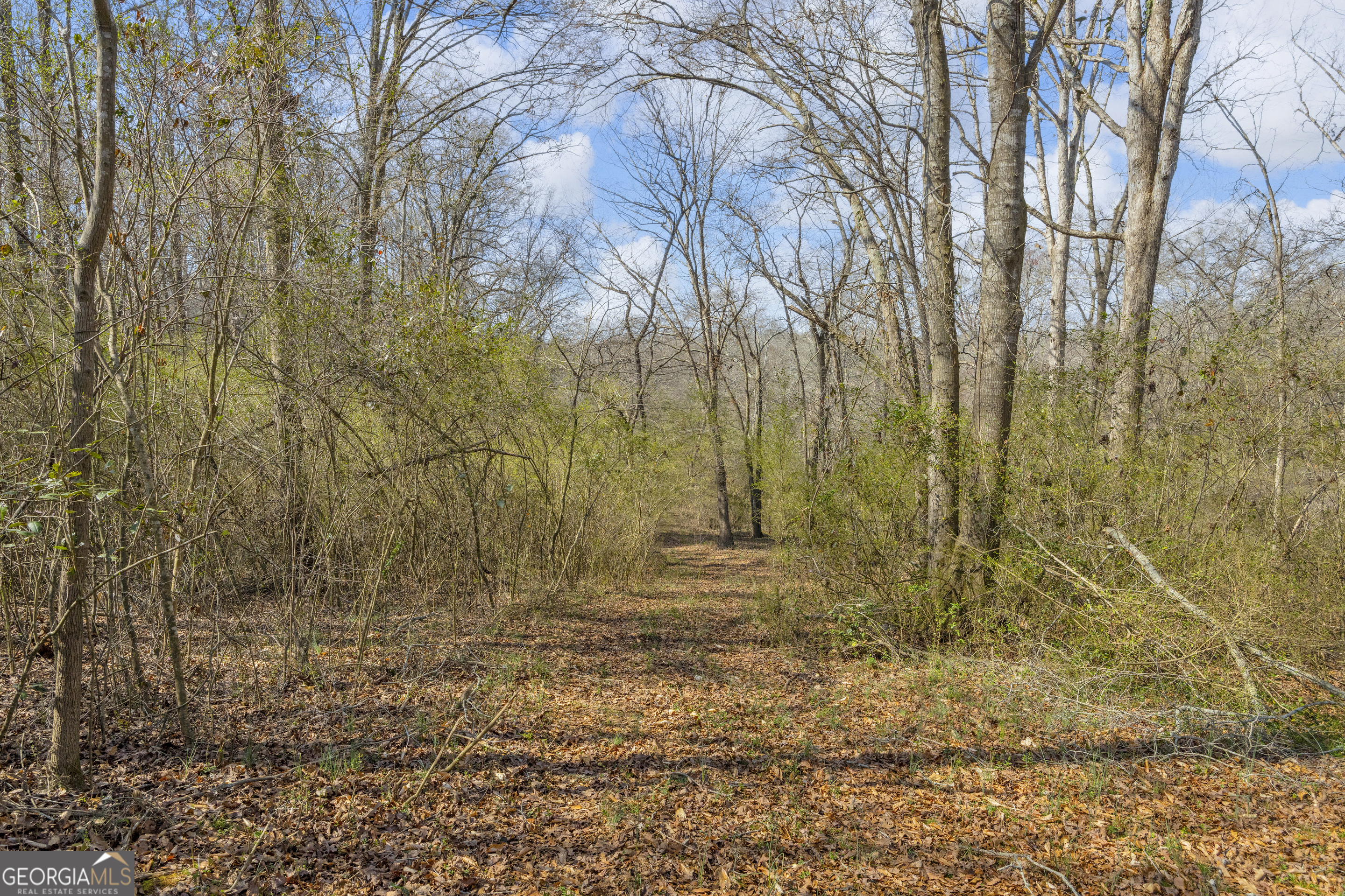 5354 Highway 29 Property Photo 42