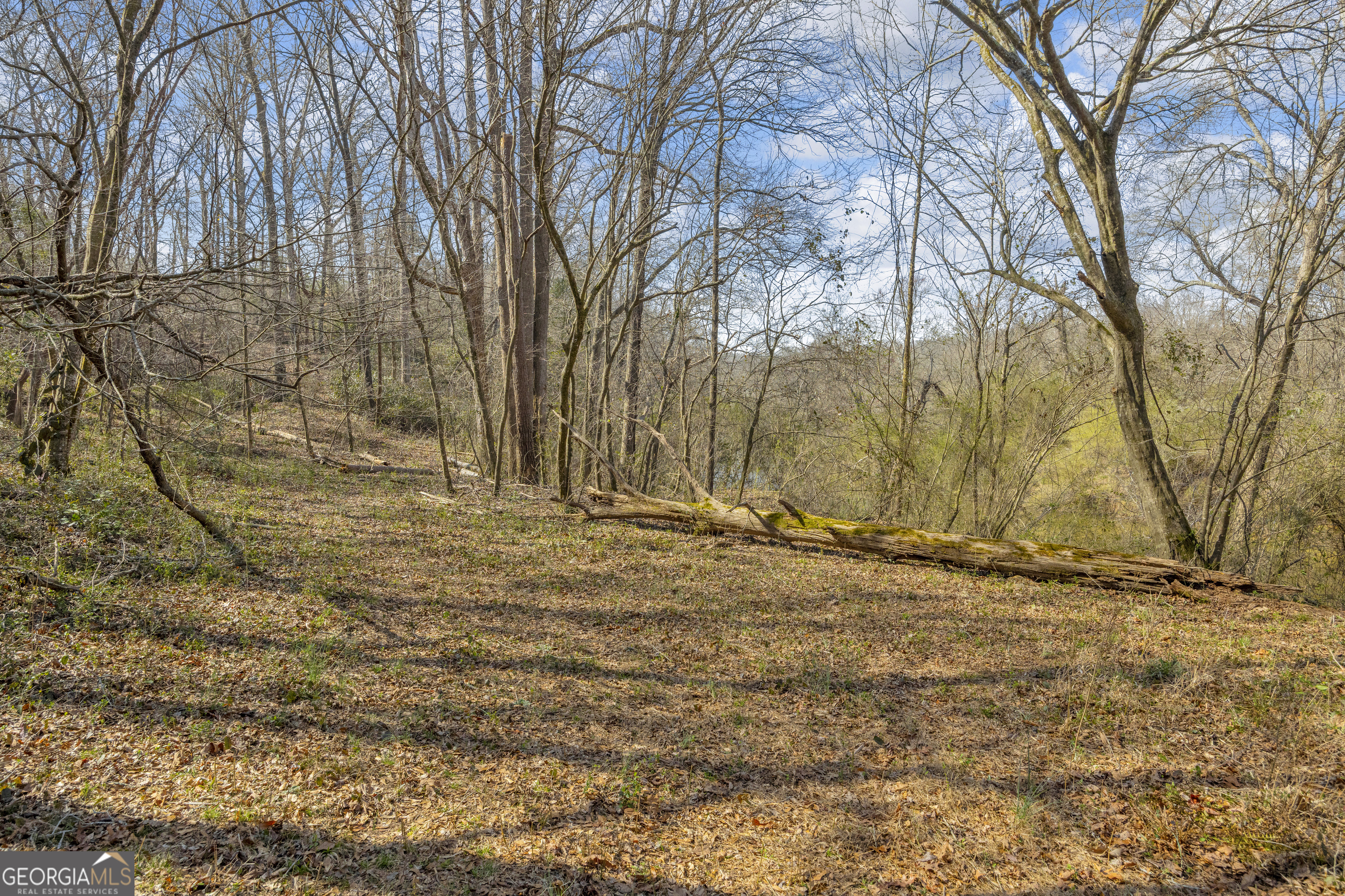 5354 Highway 29 Property Photo 43