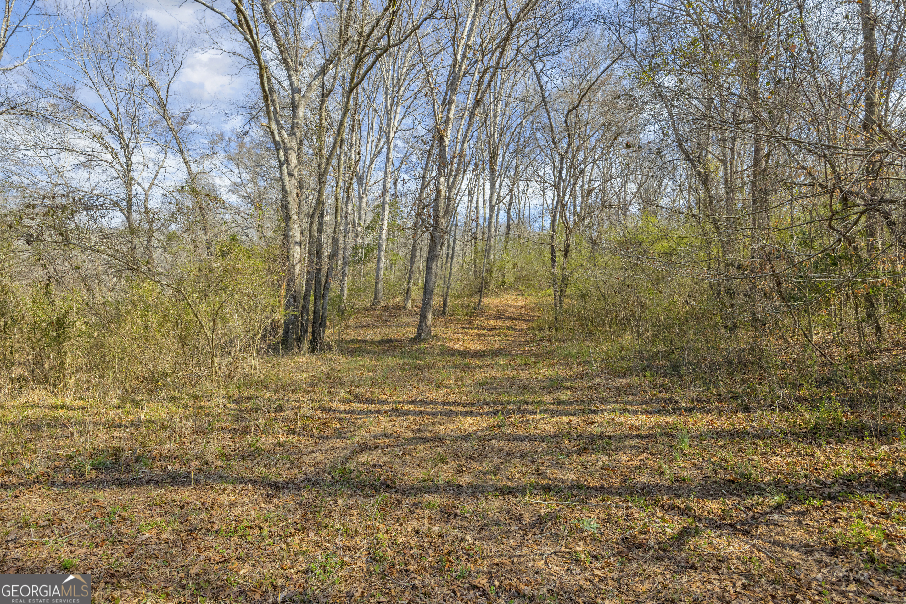 5354 Highway 29 Property Photo 45