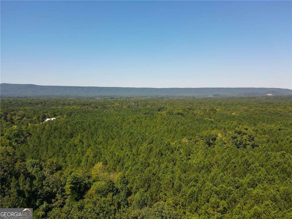 0 Resaca Lafayette Road Property Photo 5