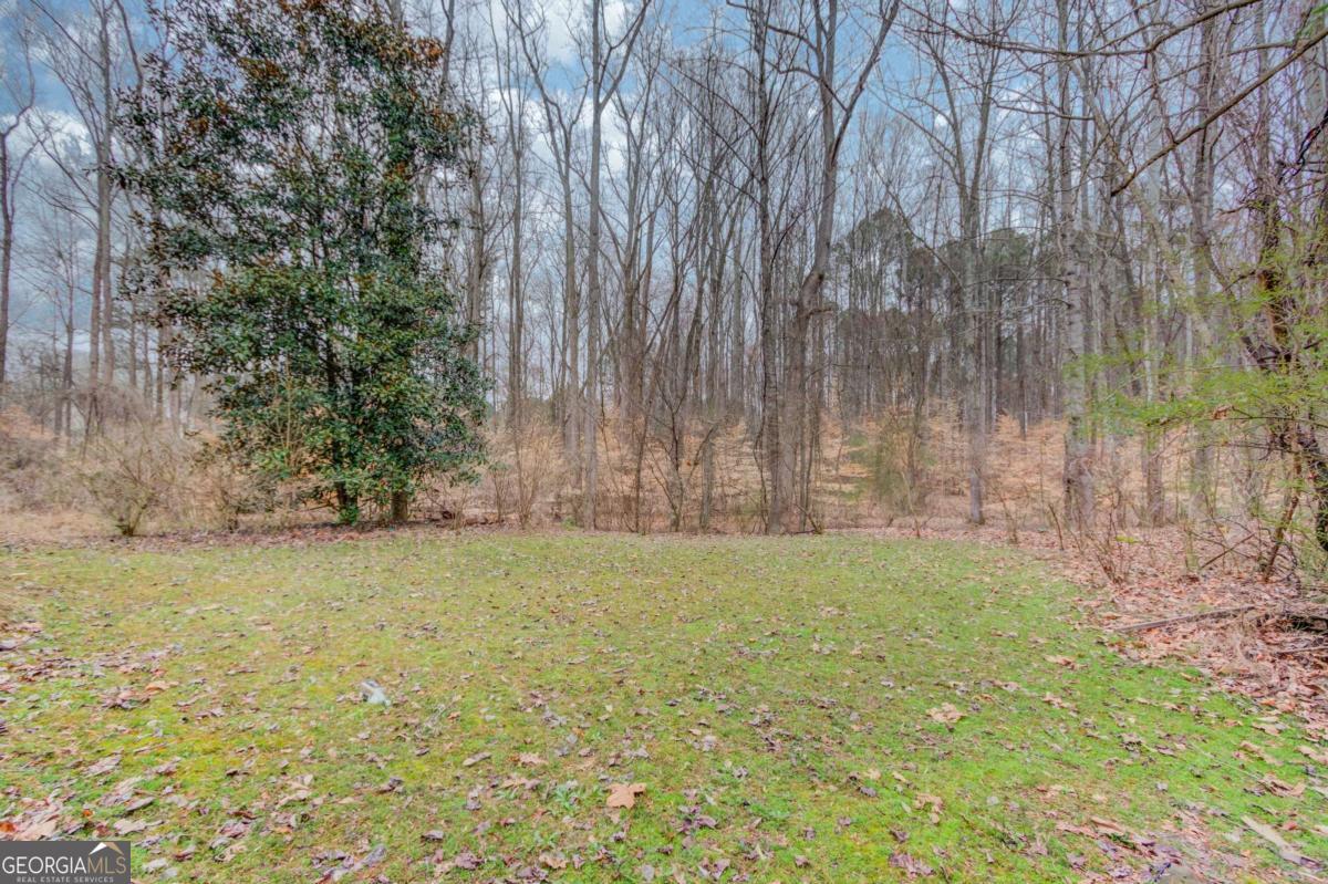 885 Long Branch Circle Property Photo 38
