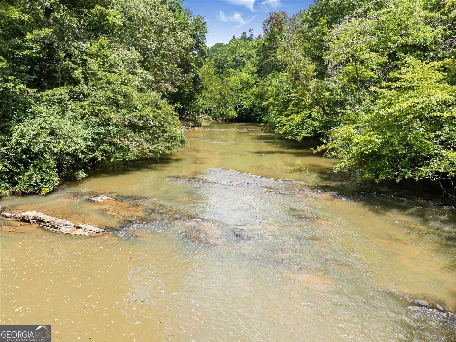 338 Woody Tucker Road Property Photo 6