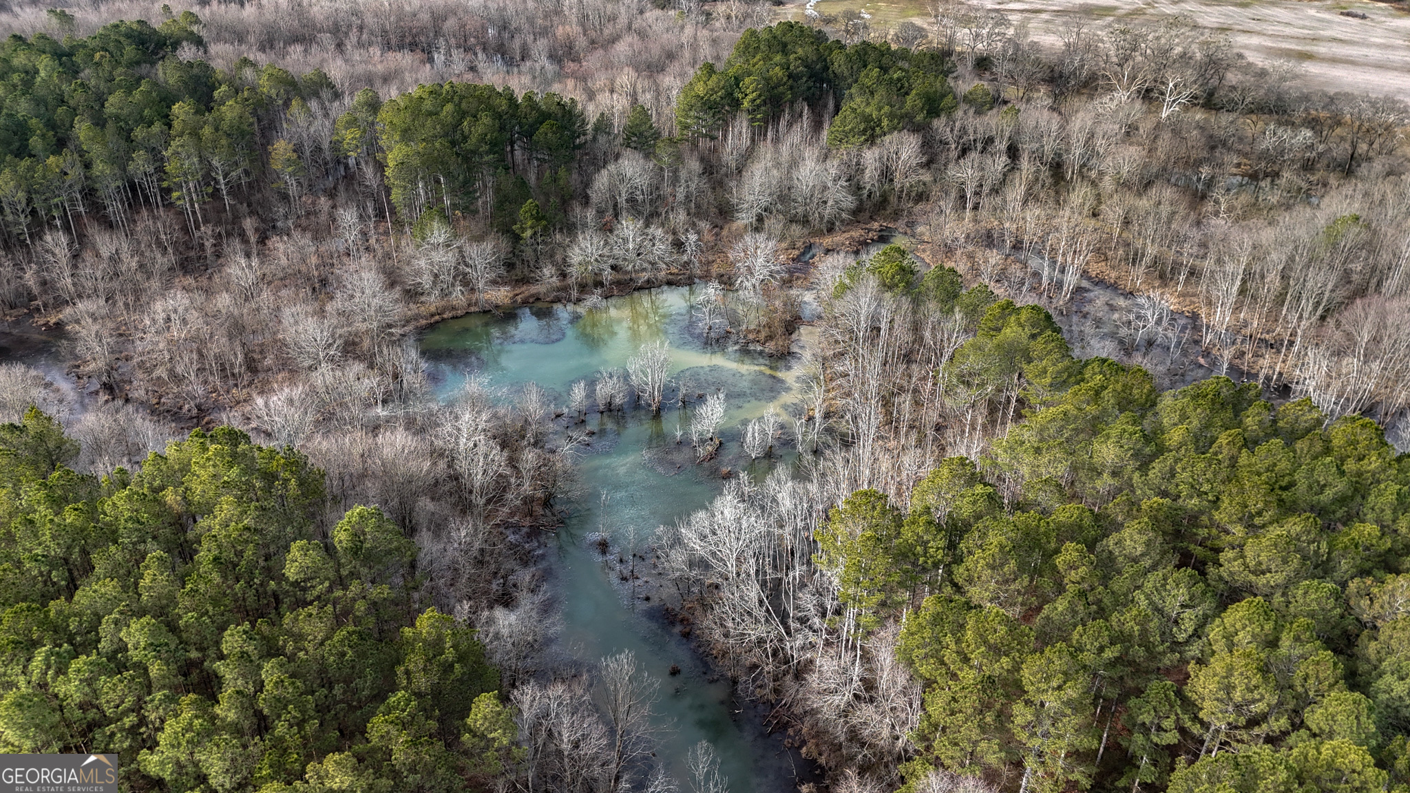 557 Acres On Taliaferro Springs Road Property Photo 1