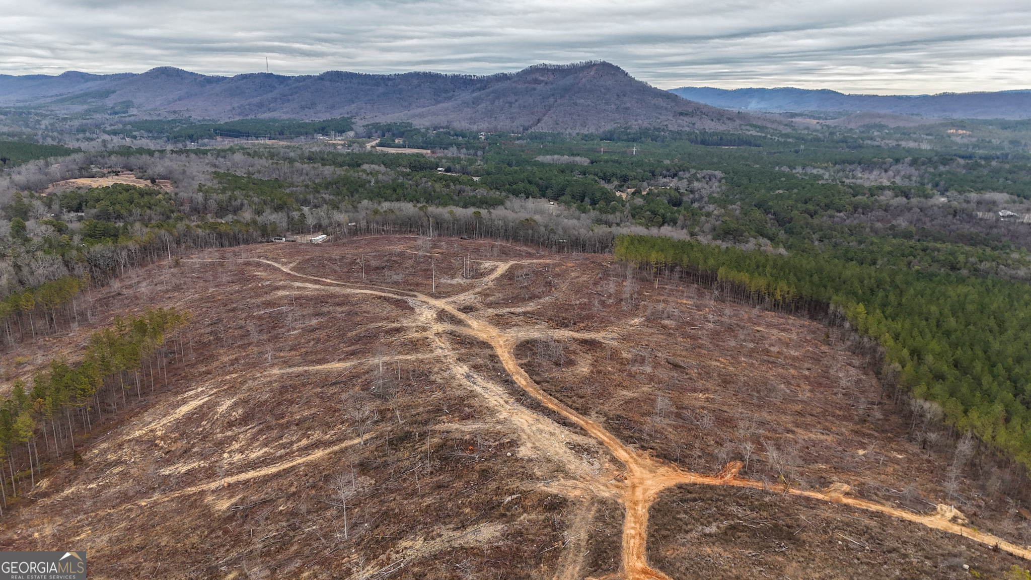 557 Acres On Taliaferro Springs Road Property Photo 2