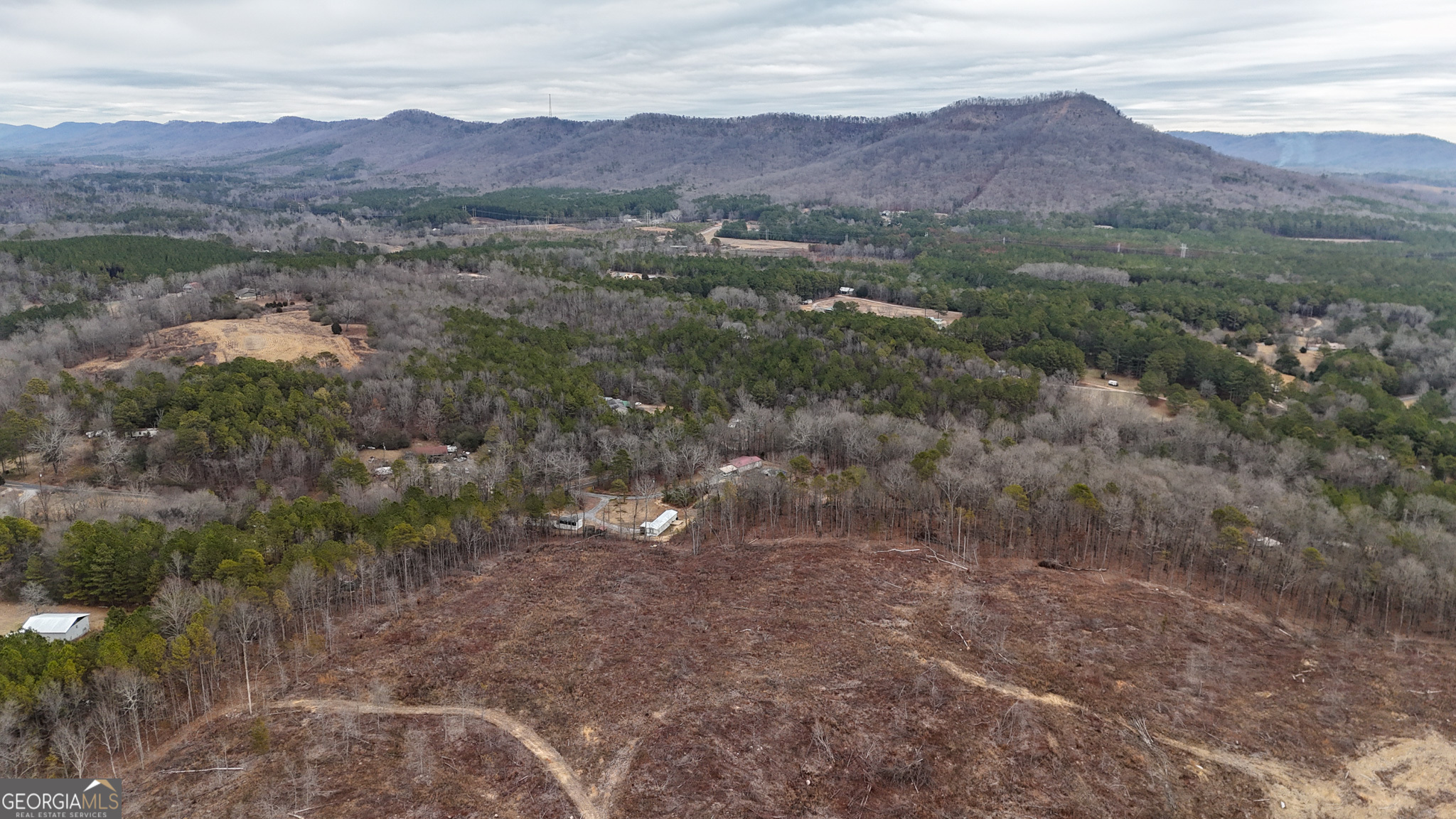 557 Acres On Taliaferro Springs Road Property Photo 3
