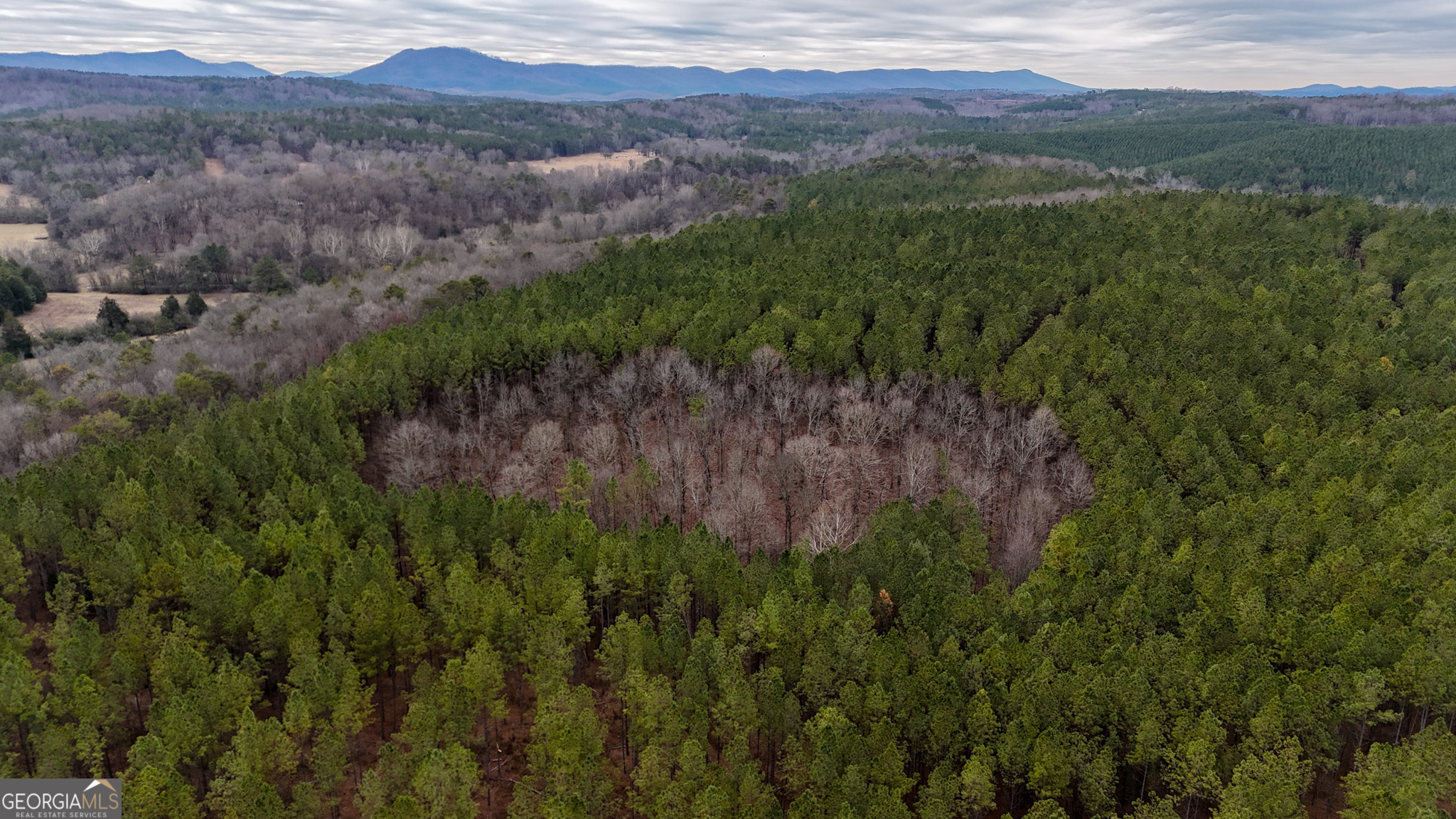 557 Acres On Taliaferro Springs Road Property Photo 4