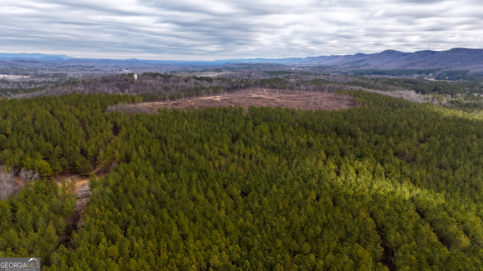 557 Acres On Taliaferro Springs Road Property Photo 6
