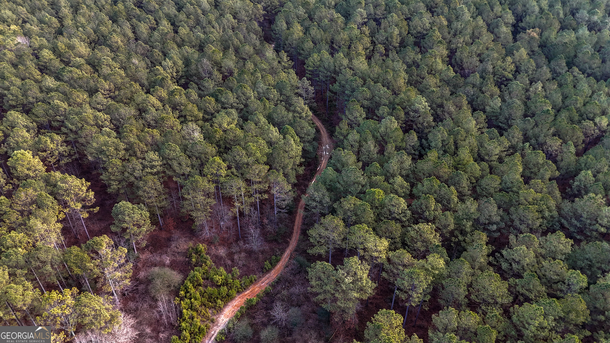 557 Acres On Taliaferro Springs Road Property Photo 7