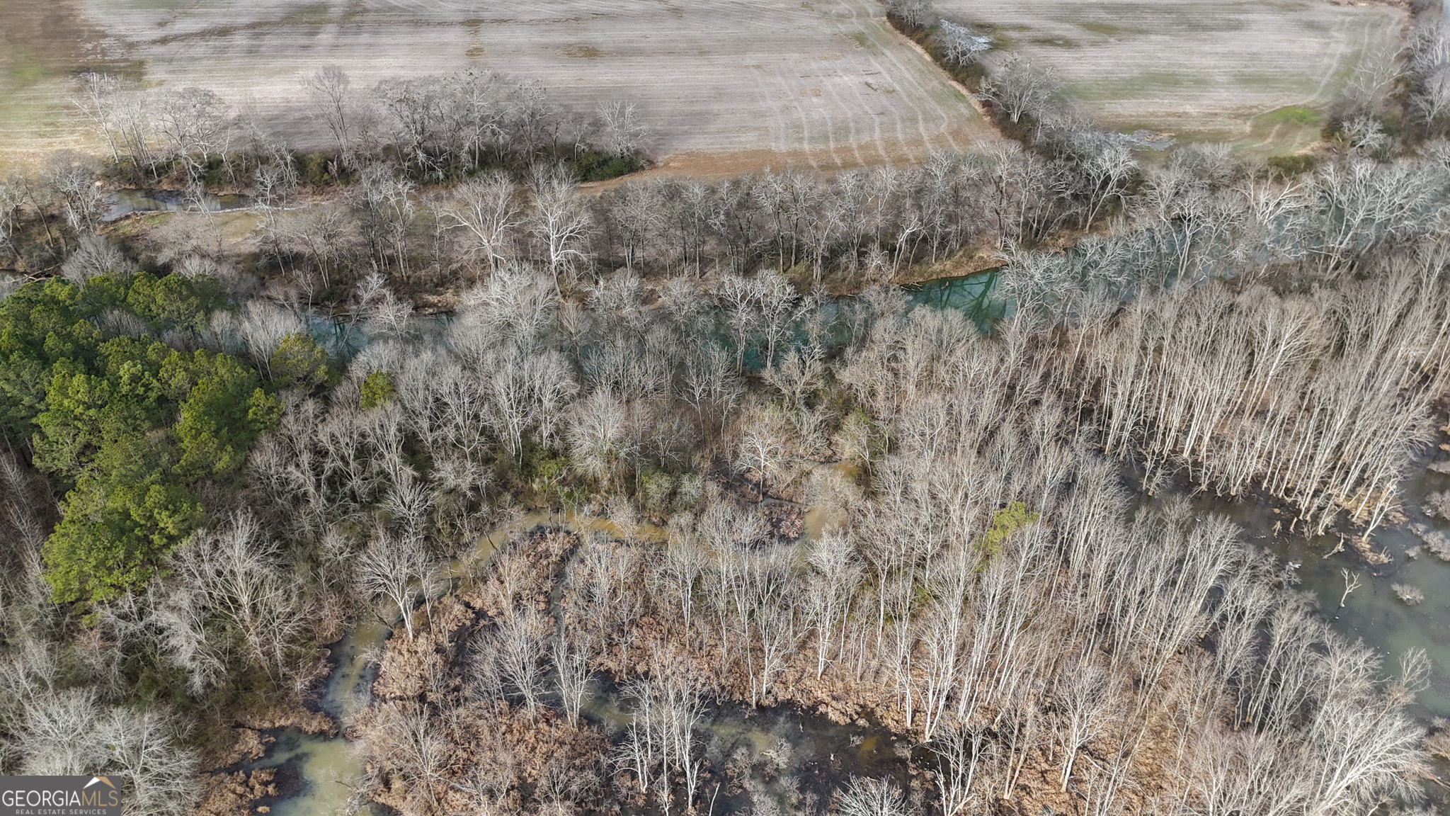557 Acres On Taliaferro Springs Road Property Photo 8