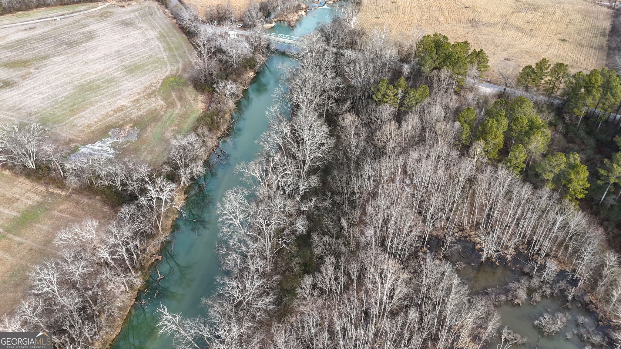 557 Acres On Taliaferro Springs Road Property Photo 9
