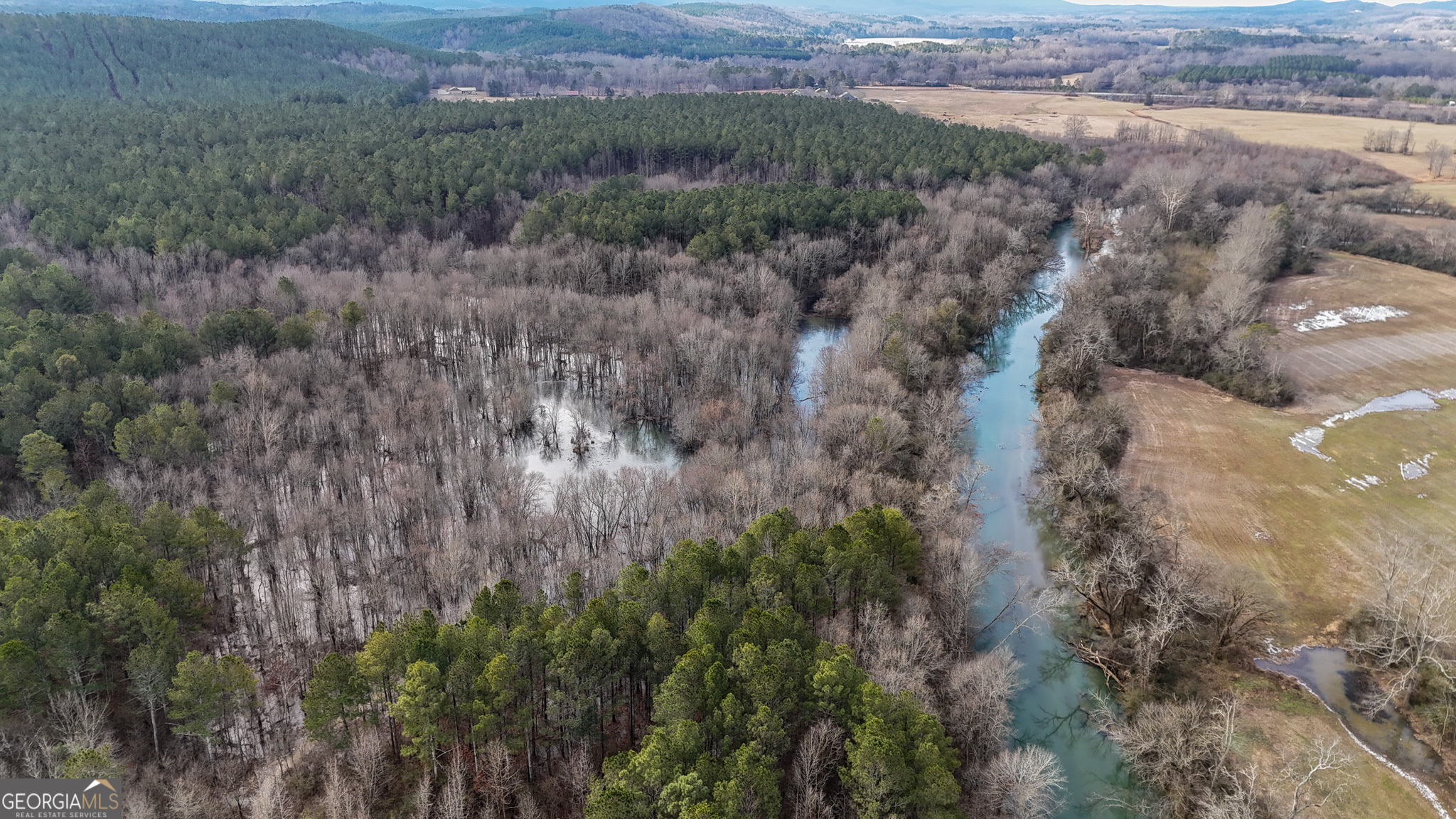 557 Acres On Taliaferro Springs Road Property Photo 10