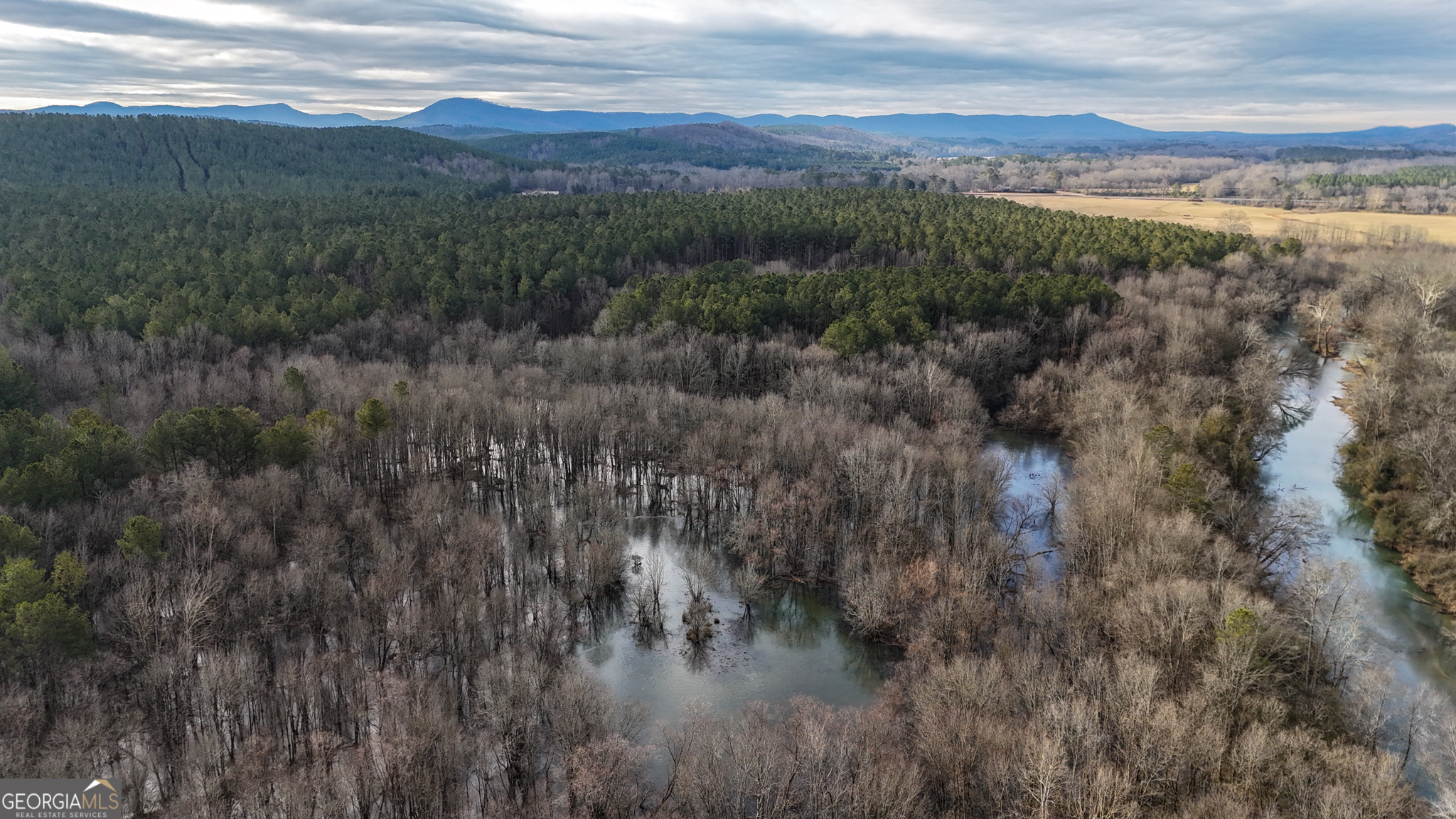 557 Acres On Taliaferro Springs Road Property Photo 11