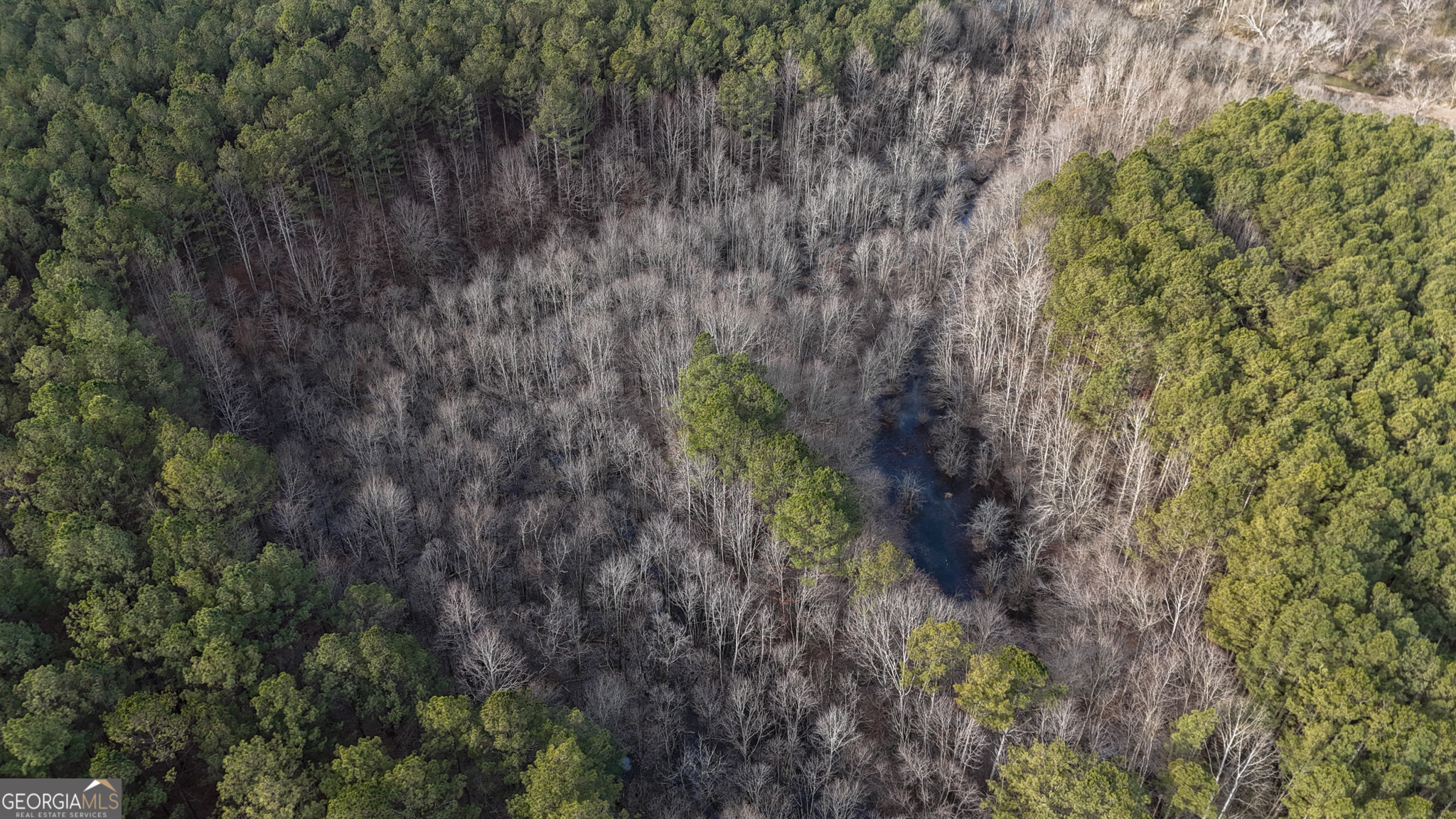 557 Acres On Taliaferro Springs Road Property Photo 12