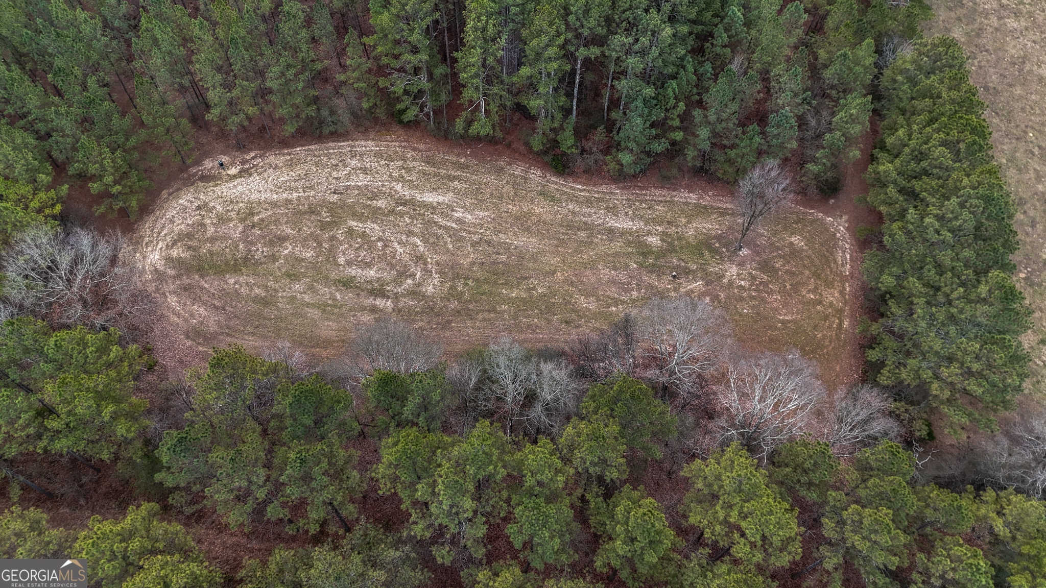557 Acres On Taliaferro Springs Road Property Photo 13