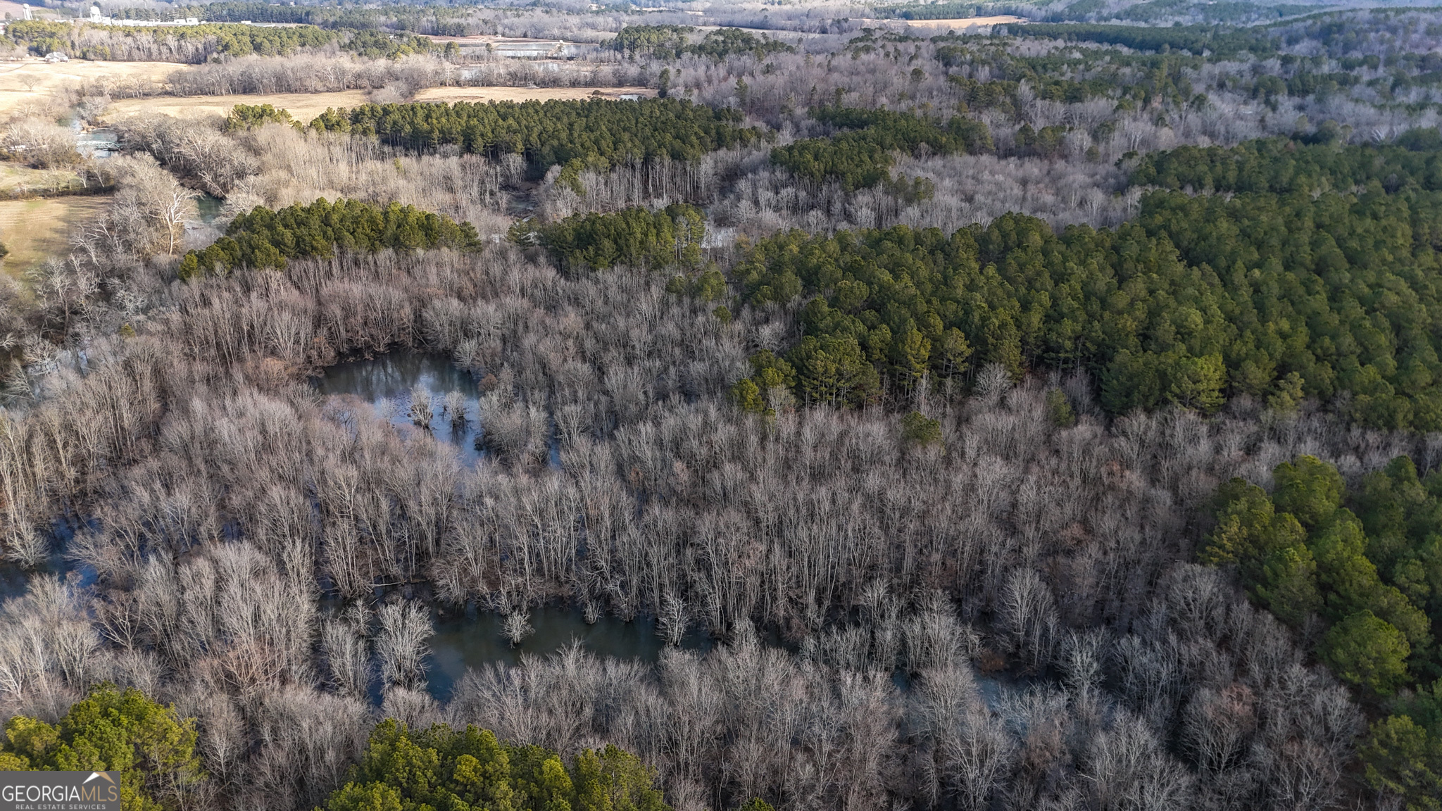 557 Acres On Taliaferro Springs Road Property Photo 14