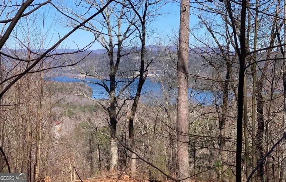 325 Adair Drive Property Photo 1