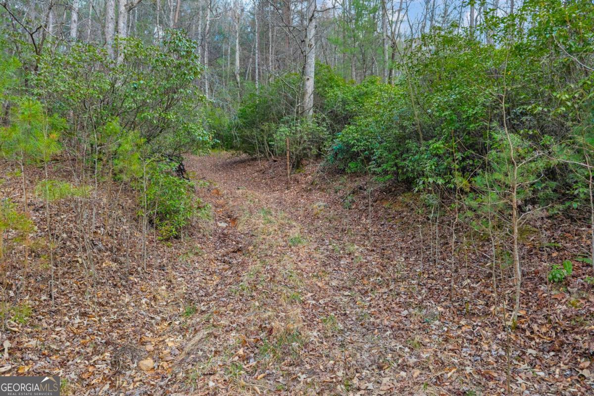 225 Smallwood Road Property Photo 18