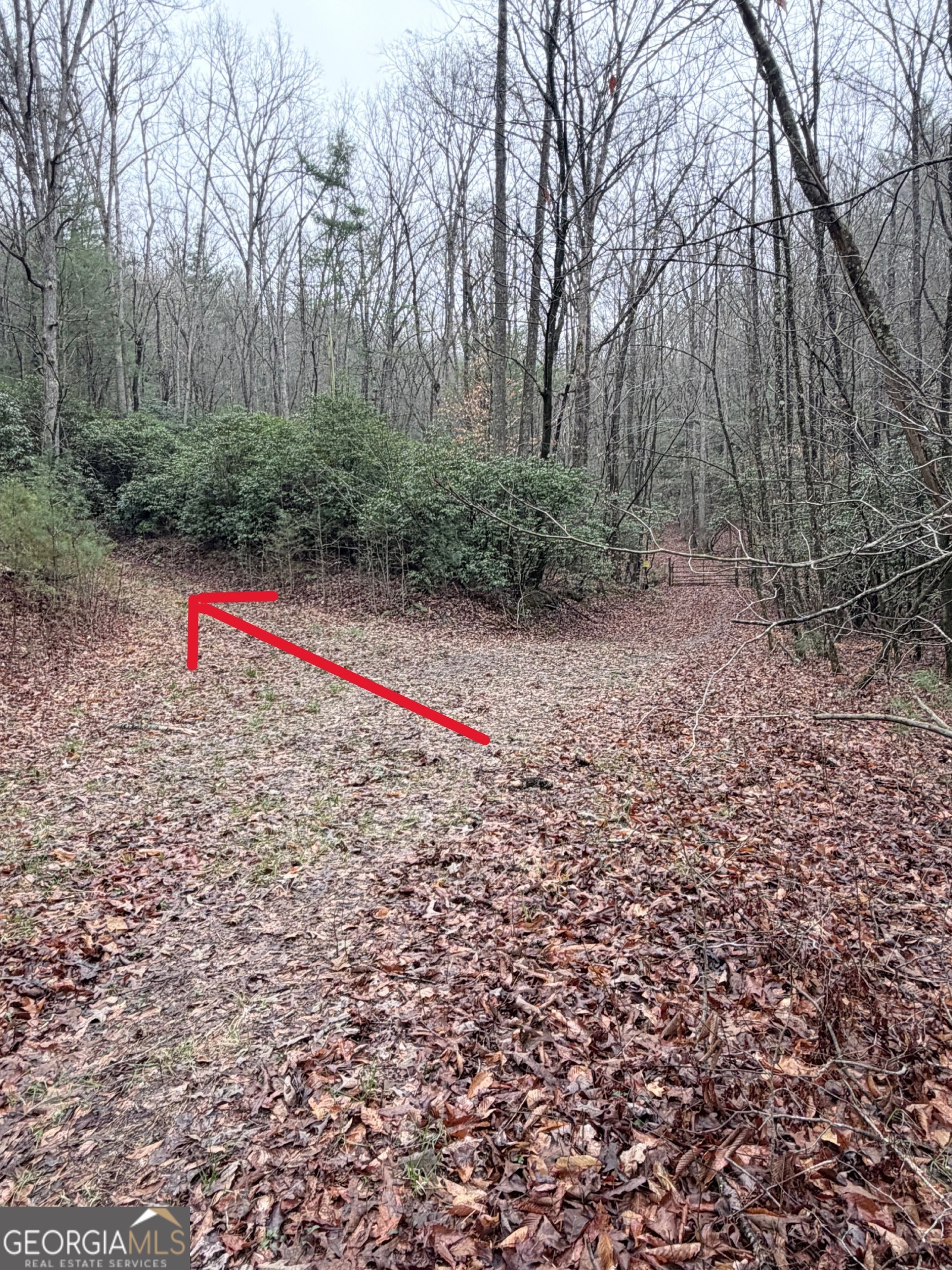 225 Smallwood Road Property Photo 21