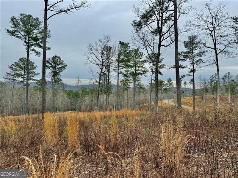 347 Timbercreek Trail Property Photo 1