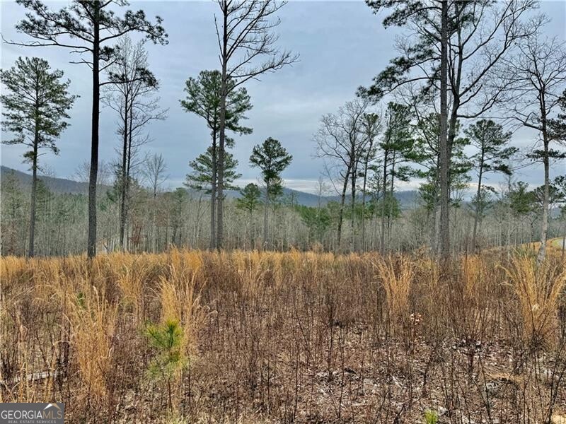 347 Timbercreek Trail Property Photo 2