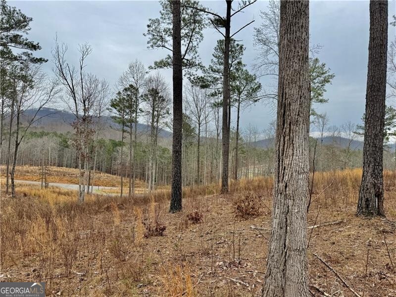 347 Timbercreek Trail Property Photo 3