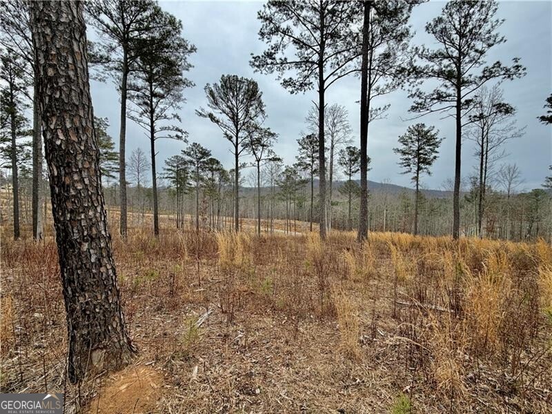 347 Timbercreek Trail Property Photo 4
