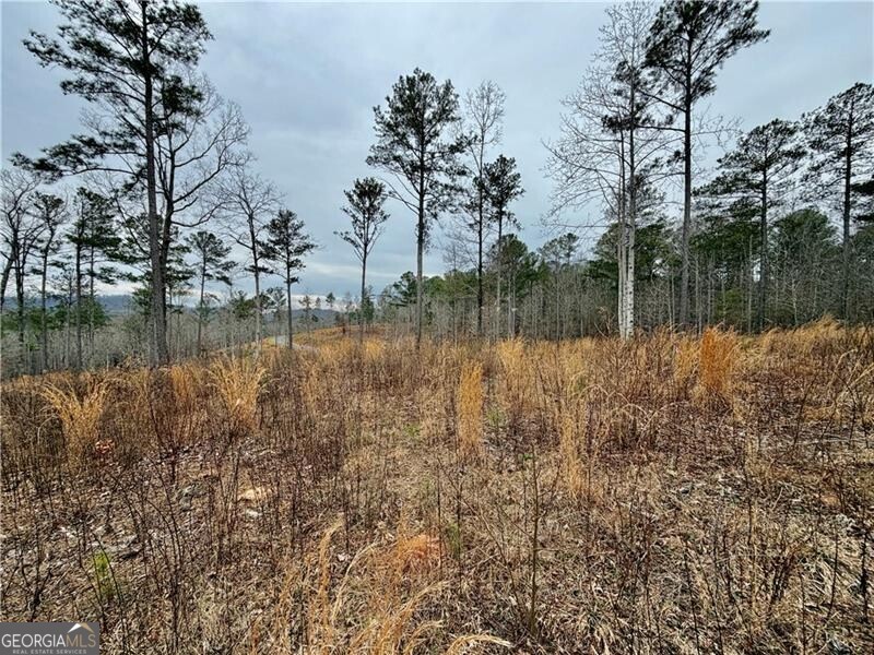 347 Timbercreek Trail Property Photo 5