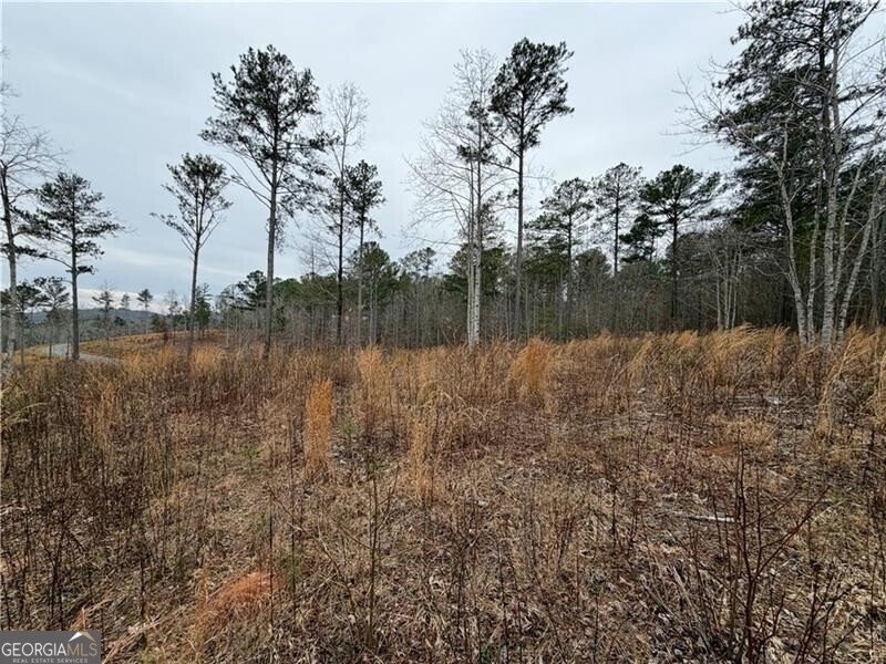 347 Timbercreek Trail Property Photo 6