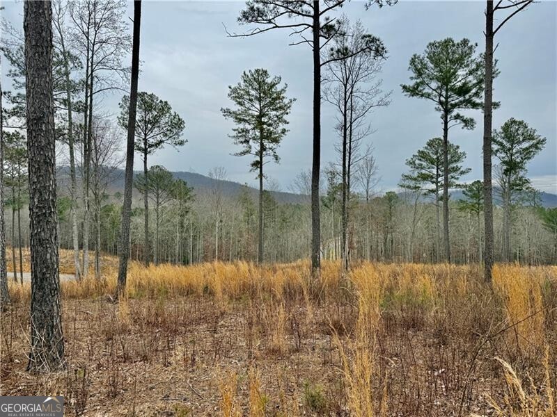 347 Timbercreek Trail Property Photo 7