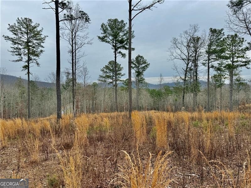 347 Timbercreek Trail Property Photo 8