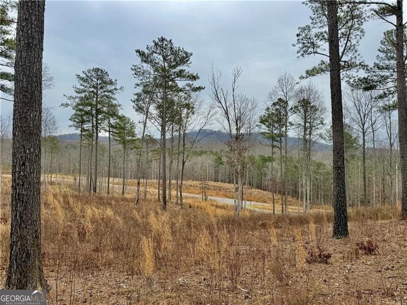 347 Timbercreek Trail Property Photo 9